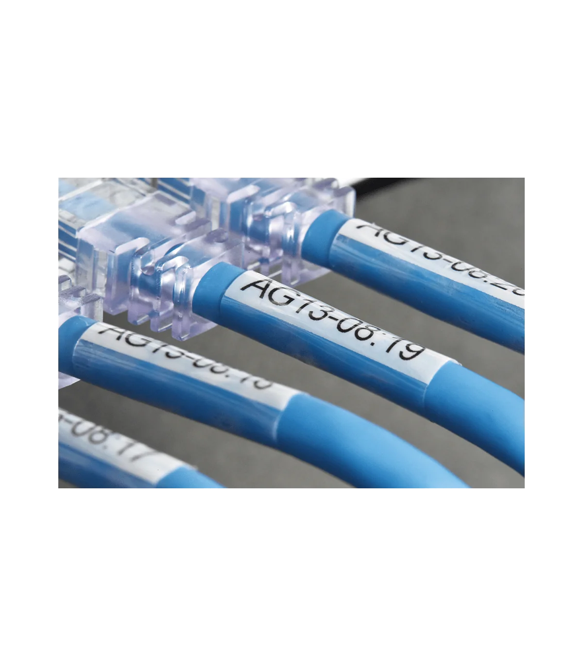 Brother TZe-SL261, khổ 36mm, dài 8m, Black on White, dán cáp CAT5E/6 | ⓿❽❻❽❺⓿❺⓿❺❺ | Nhãn in, tem in, giấy in, băng nhãn, tape...